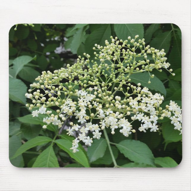 Tapis De Souris fleur (Devant)