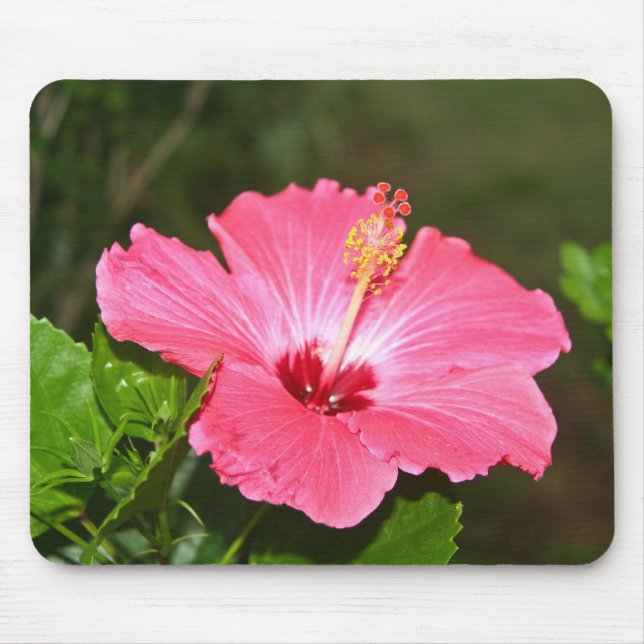 Tapis De Souris Fleur (Devant)