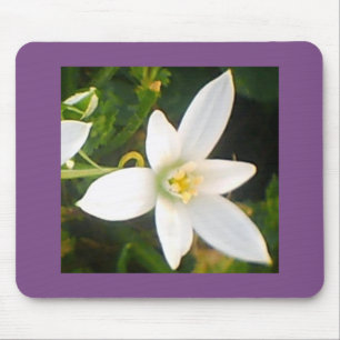 Tapis De Souris Fleur blanche