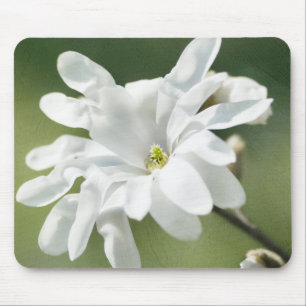 Tapis De Souris Fleur blanche de Magnolia