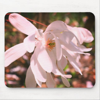 Tapis De Souris Fleur blanche de Magnolia