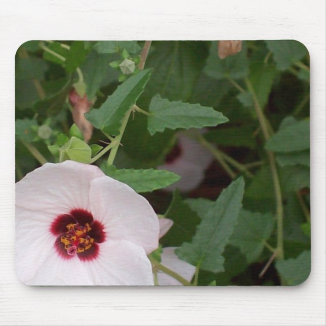 Tapis De Souris Fleur blanche isolée (Devant)