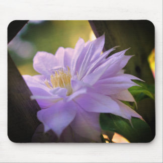 Tapis De Souris Fleur Clematis nichée 