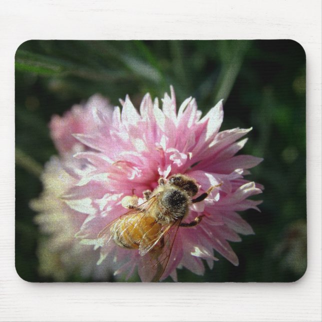 Tapis De Souris Fleur d'abeille et rose (Devant)