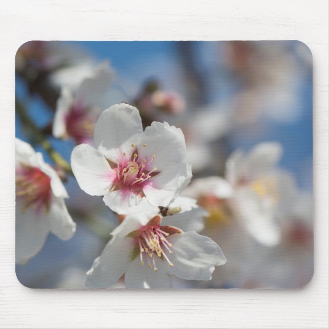 Tapis De Souris Fleur d'amande (Devant)
