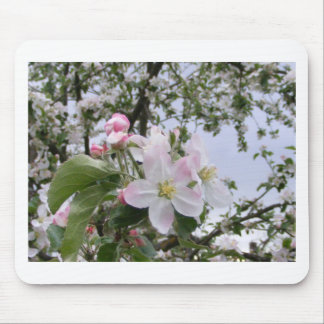 Tapis De Souris fleur d'Apple-arbre