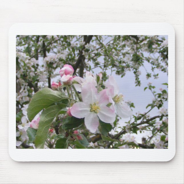 Tapis De Souris fleur d'Apple-arbre (Devant)