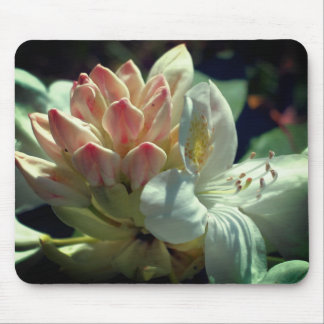 Tapis De Souris Fleur d'azalée blanche