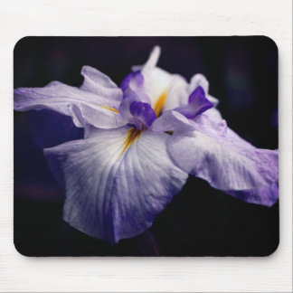 Tapis De Souris Fleur de beauté japonaise Iris