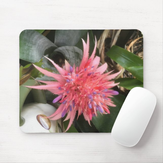 Tapis De Souris Fleur de bromélie (Avec souris)
