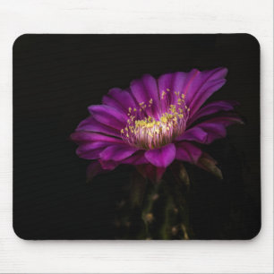 Tapis De Souris Fleur de Cactus à gâteau plat spectaculaire