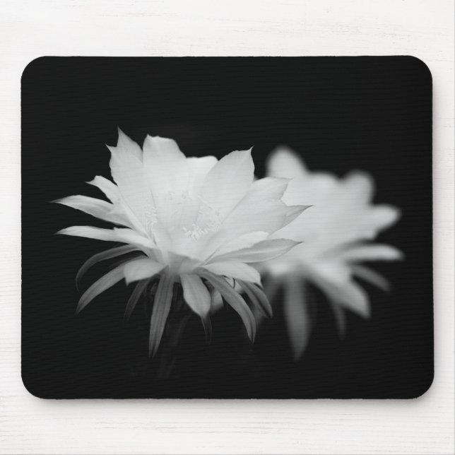 Tapis De Souris Fleur de cactus noir et blanc (Devant)