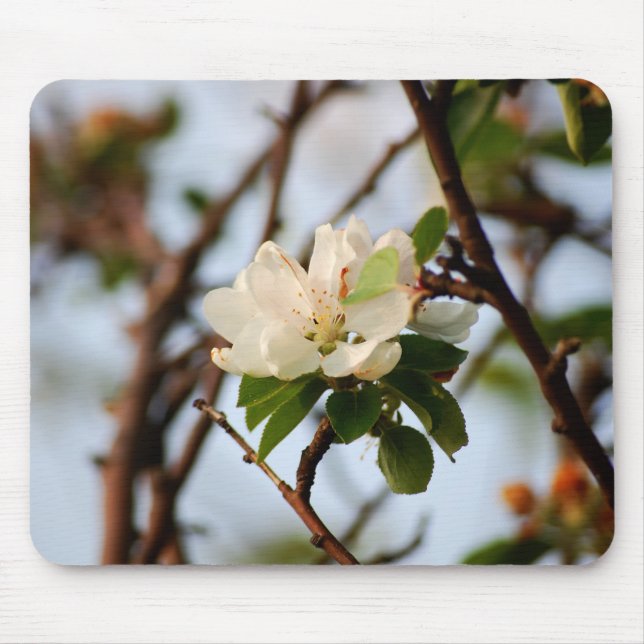 Tapis De Souris Fleur de cerise (Devant)