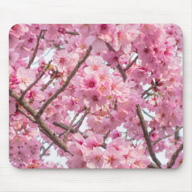 Tapis De Souris Fleur de cerisier rose (Devant)