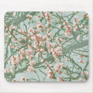 Tapis De Souris Fleur de cerisiers