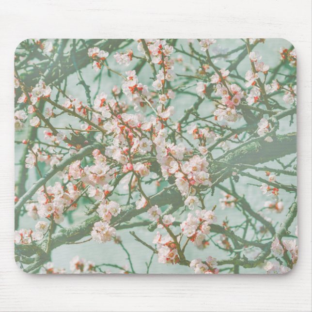 Tapis De Souris Fleur de cerisiers (Devant)
