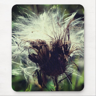 Tapis De Souris Fleur de chardon nature