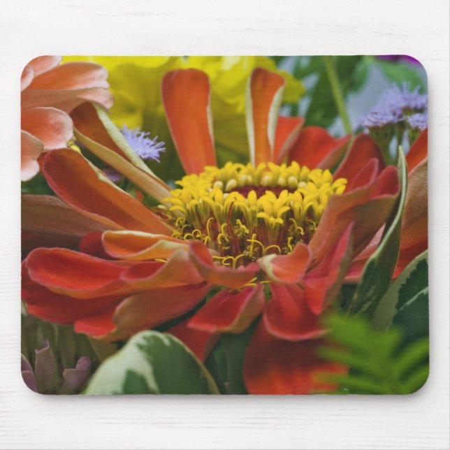 Tapis De Souris fleur de chrysanthème (Devant)
