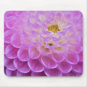 Tapis De Souris Fleur de chrysanthème décorant un lieu de sépultur