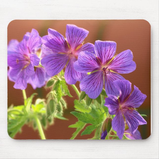Tapis De Souris Fleur de géranium Mousepad (Devant)