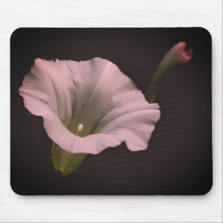Tapis De Souris Fleur de gloire du matin blanc