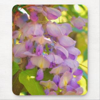 Tapis De Souris Fleur de glycine rêvée