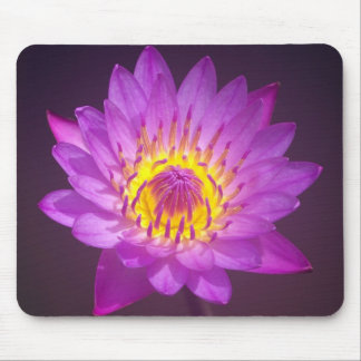 Tapis De Souris Fleur de Lotus pourpre