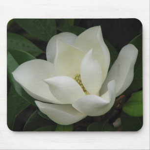 Tapis De Souris Fleur de magnolia