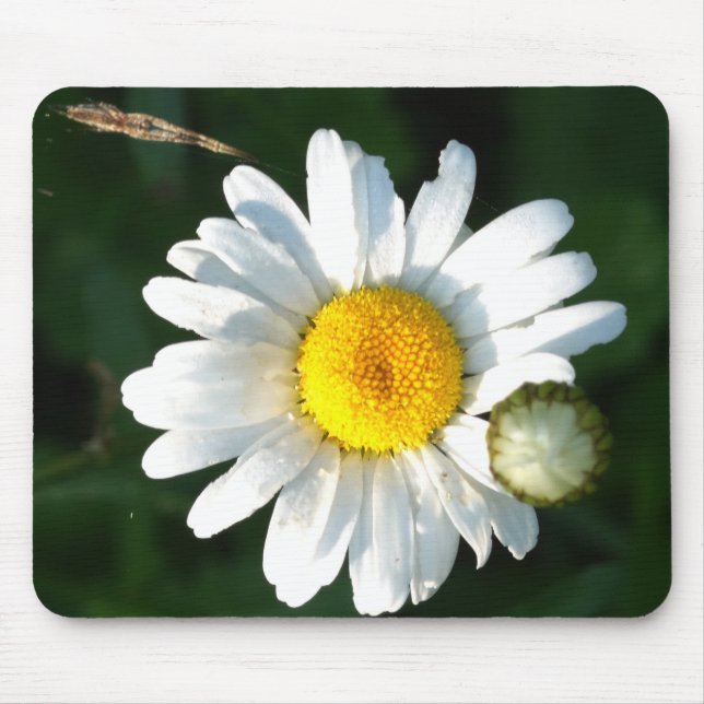 Tapis de souris fleur de marguerite blanche (Devant)