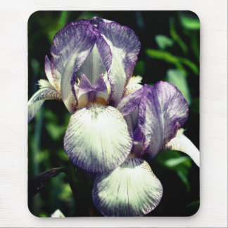 Tapis De Souris Fleur de paire Iris à poils
