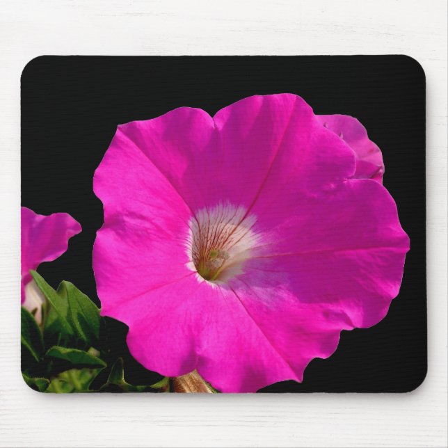 Tapis De Souris Fleur de Pétunia Rose (Devant)