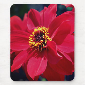 Tapis De Souris Fleur de pin rouge