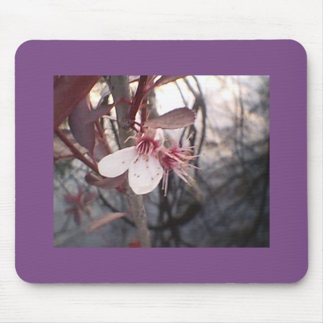 Tapis De Souris Fleur de prune (Devant)