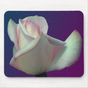 Tapis De Souris Fleur de rose blanche