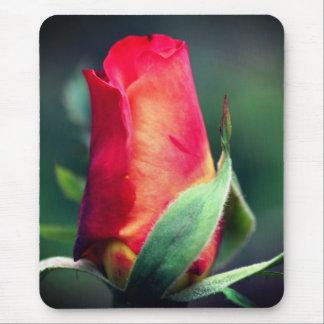 Tapis De Souris Fleur de rose jaune rouge