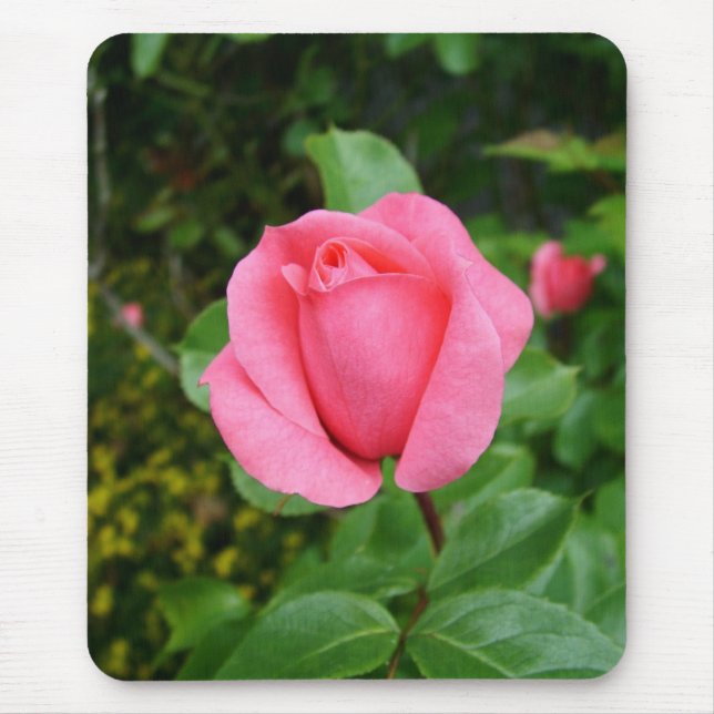 Tapis De Souris fleur de rose rose (Devant)
