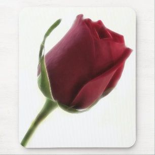 Tapis De Souris Fleur de rose rouge sur le blanc