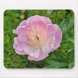 Tapis De Souris Fleur de tourbe rose
