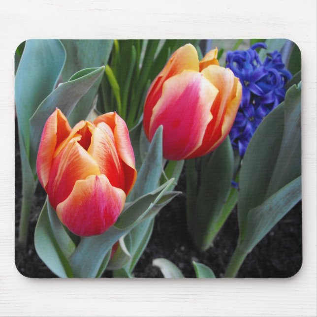 Tapis De Souris Fleur de Tulipe-Un de l'amour (Devant)