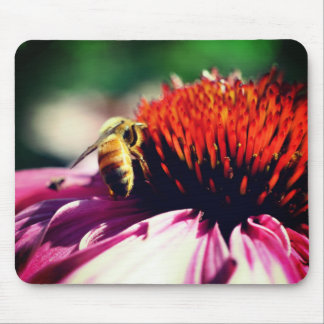 Tapis De Souris Fleur d'Echinacea d'Abeille de Miel