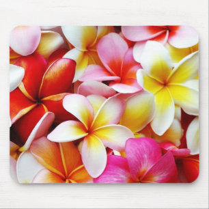 Tapis De Souris Fleur d'Hawaï de Frangipani de Plumeria customisée