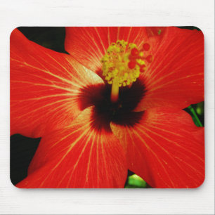Tapis De Souris Fleur d'Hibiscus rouge-orange