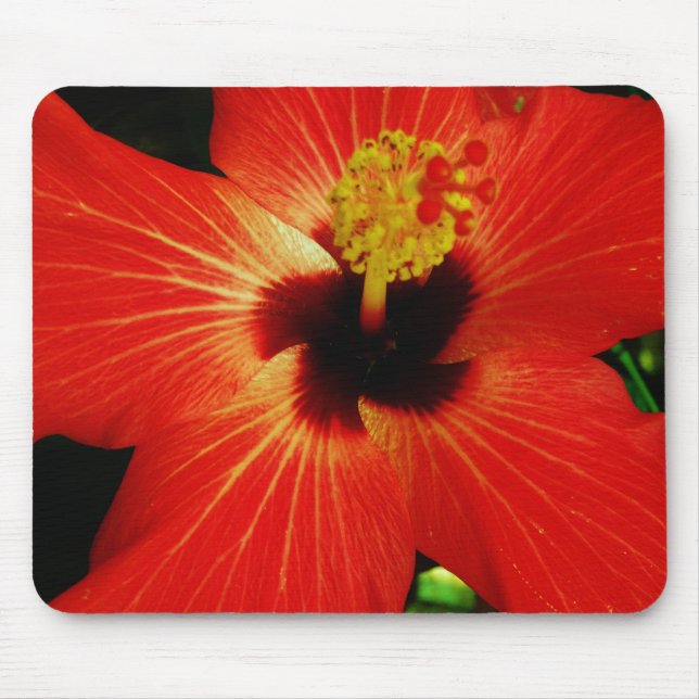 Tapis De Souris Fleur d'Hibiscus rouge-orange (Devant)