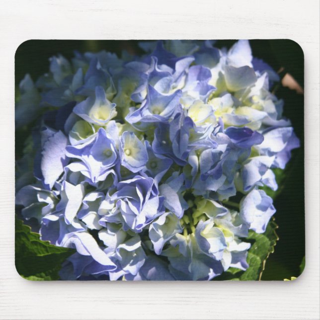 Tapis De Souris Fleur d'Hydrangée Bleue Lumière (Devant)