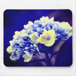Tapis De Souris Fleur d'Hydrangée Bleue Vive
