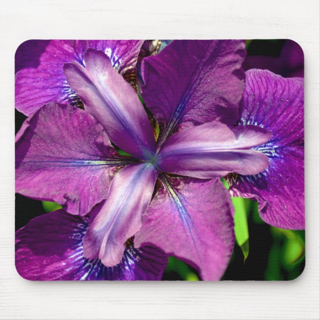 Tapis De Souris Fleur d'iris pourpre (Devant)
