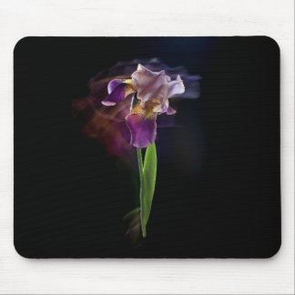 Tapis De Souris Fleur d'iris sur un fond noir. Pose longue.
