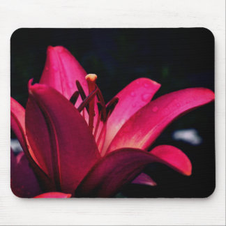 Tapis De Souris Fleur diurne intense