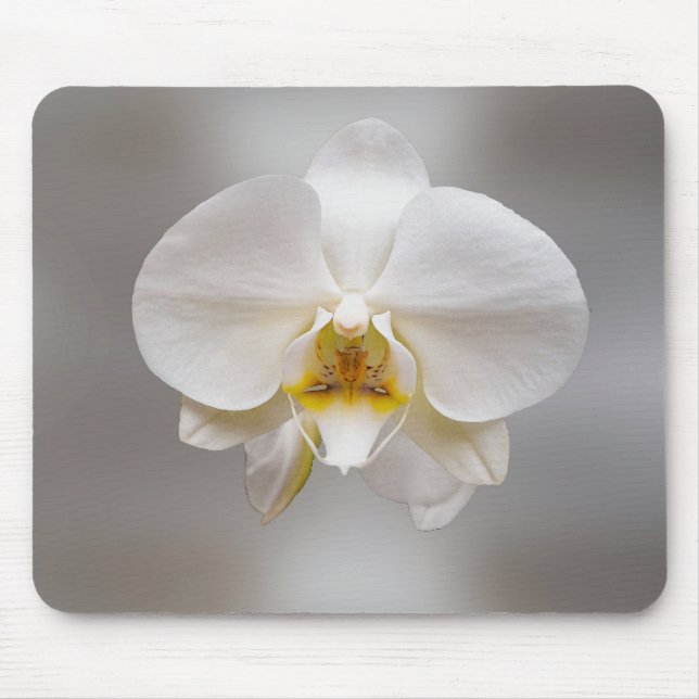 Tapis De Souris Fleur d'orchidée (Devant)