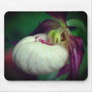 Tapis De Souris Fleur d'orchidée blanche